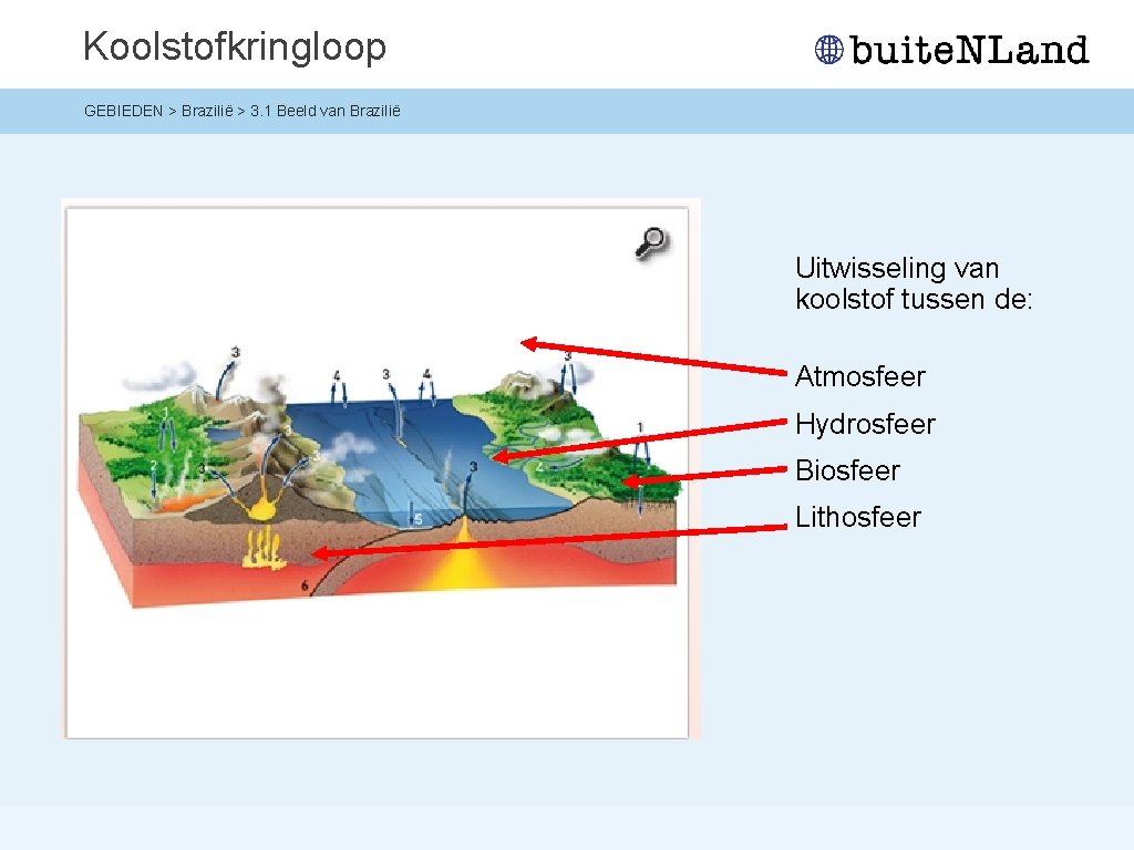 Koolstofkringloop GEBIEDEN > Brazilië > 3. 1 Beeld van Brazilië Uitwisseling van koolstof tussen