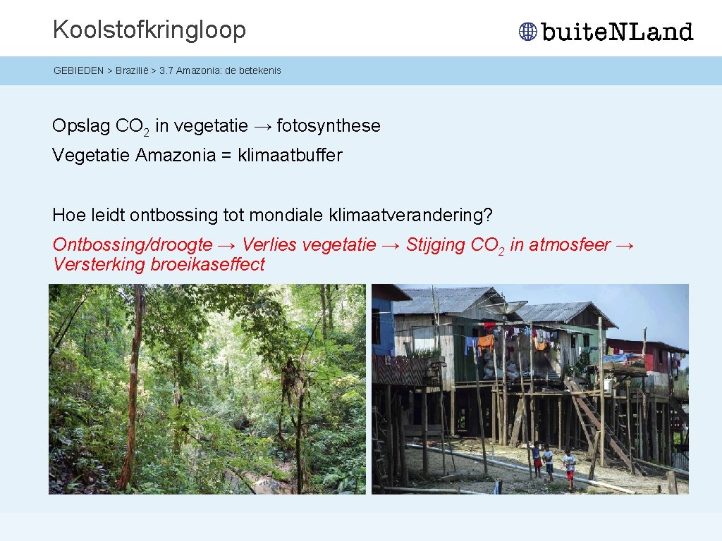 Koolstofkringloop GEBIEDEN > Brazilië > 3. 7 Amazonia: de betekenis Opslag CO 2 in