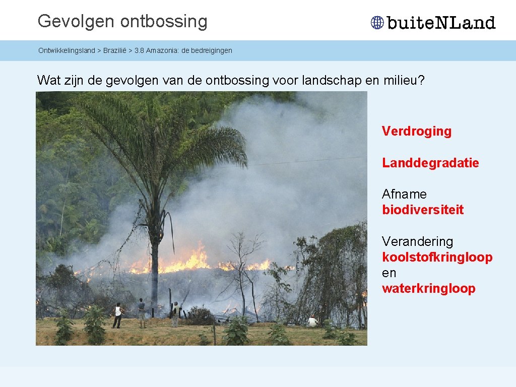 Gevolgen ontbossing Ontwikkelingsland > Brazilië > 3. 8 Amazonia: de bedreigingen Wat zijn de