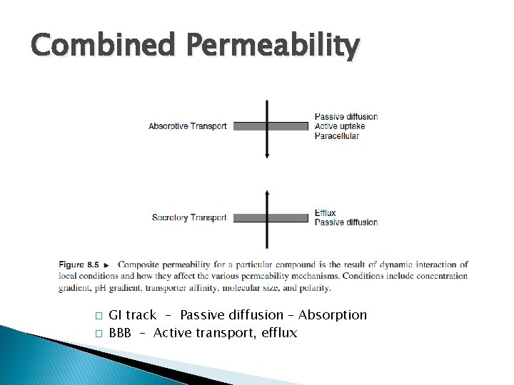Combined Permeability � � GI track – Passive diffusion – Absorption BBB – Active