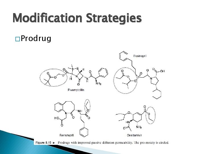 Modification Strategies � Prodrug 