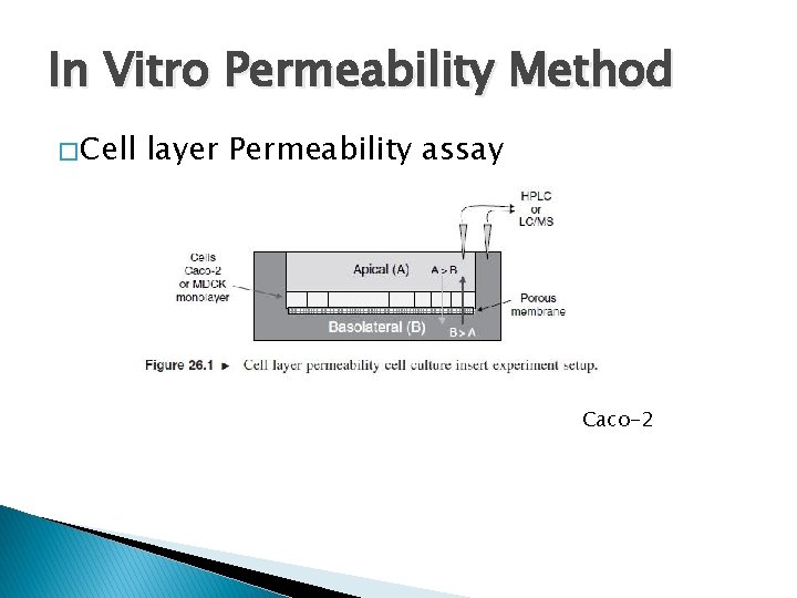 In Vitro Permeability Method � Cell layer Permeability assay Caco-2 
