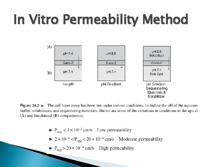 In Vitro Permeability Method 