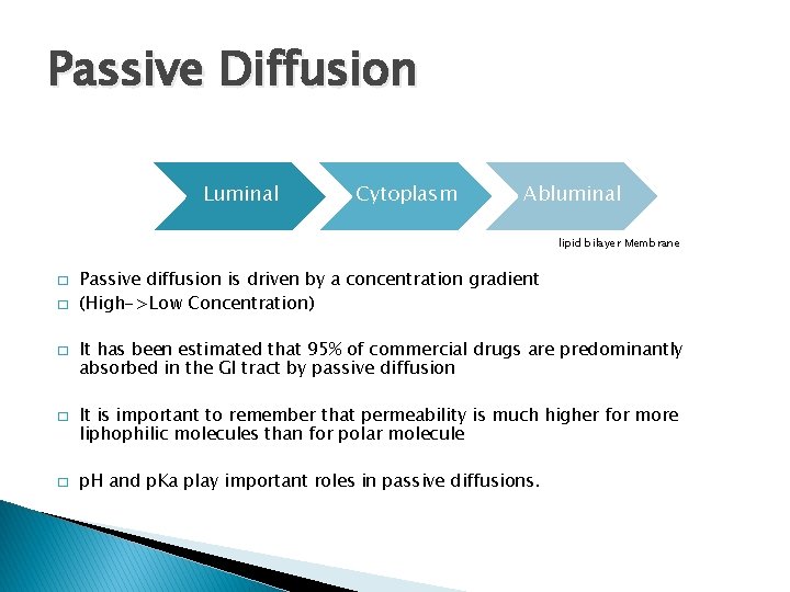 Passive Diffusion Luminal Cytoplasm Abluminal lipid bilayer Membrane � � � Passive diffusion is