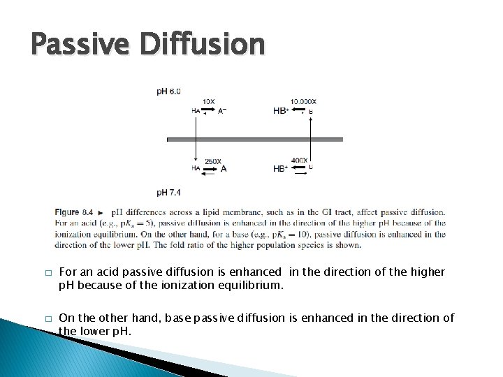 Passive Diffusion � � For an acid passive diffusion is enhanced in the direction