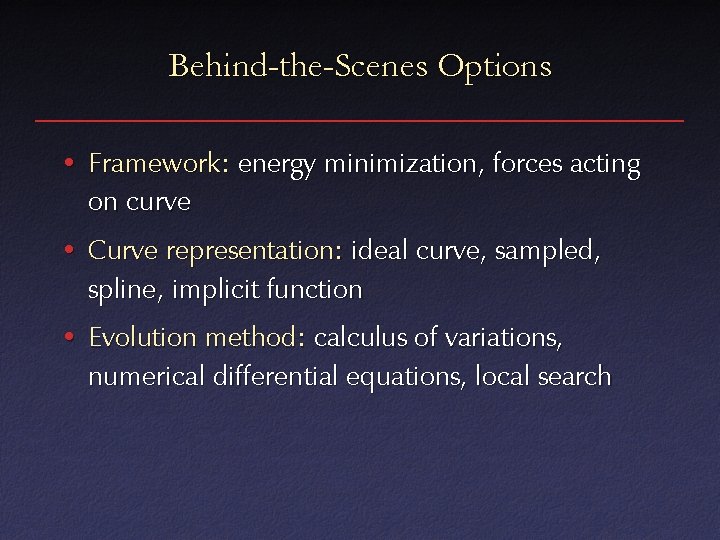 Behind-the-Scenes Options • Framework: energy minimization, forces acting on curve • Curve representation: ideal