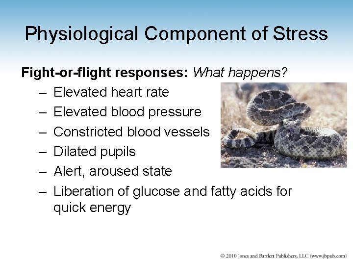 Physiological Component of Stress Fight-or-flight responses: What happens? – Elevated heart rate – Elevated