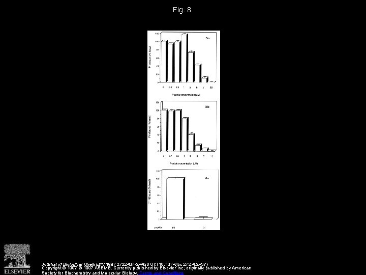 Fig. 8 Journal of Biological Chemistry 1997 2722437 -2445 DOI: (10. 1074/jbc. 272. 4.