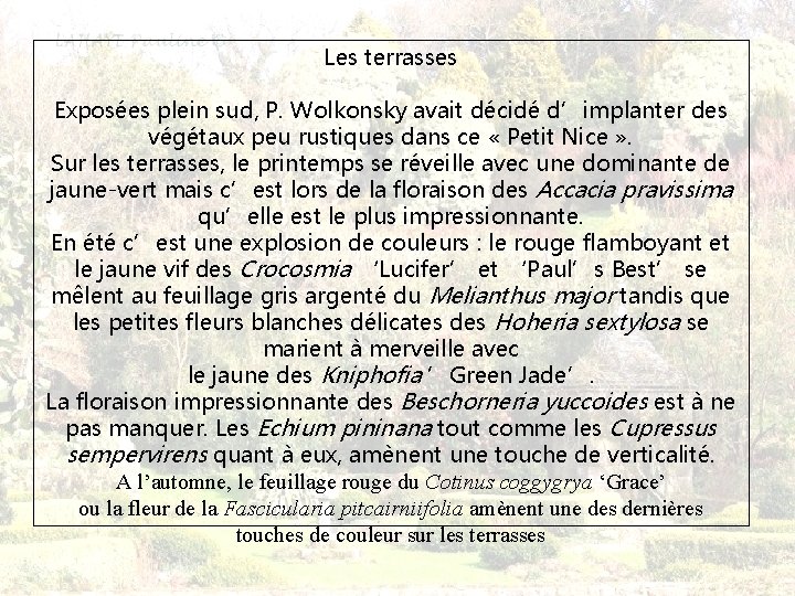 Les terrasses Exposées plein sud, P. Wolkonsky avait décidé d’implanter des végétaux peu rustiques