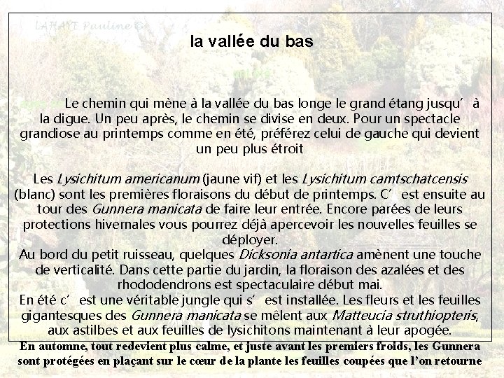 la vallée du bas ont été ages do. Le chemin qui mène à la