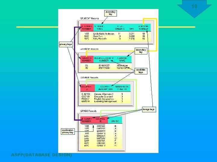 10 ASPP(DATABASE DESIGN) 