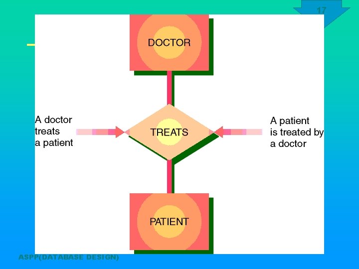17 ASPP(DATABASE DESIGN) 