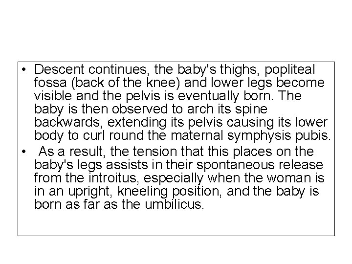  • Descent continues, the baby's thighs, popliteal fossa (back of the knee) and