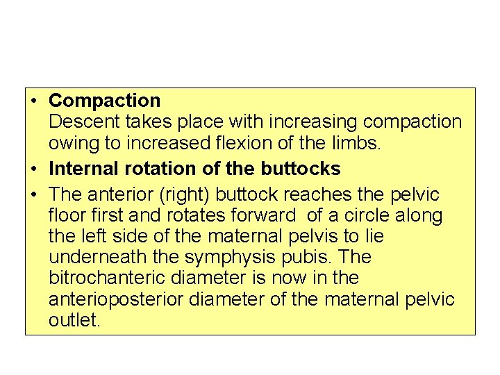  • Compaction Descent takes place with increasing compaction owing to increased flexion of