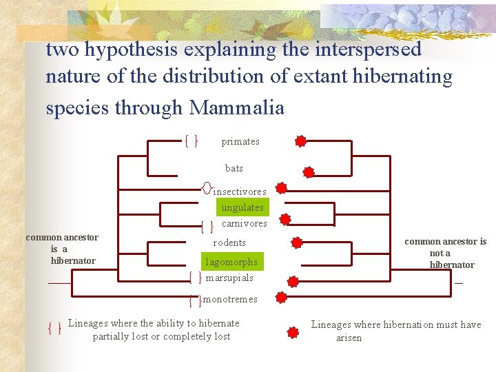 two hypothesis explaining the interspersed nature of the distribution of extant hibernating species through