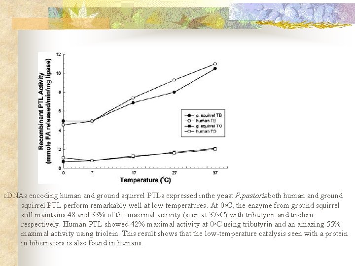 c. DNAs encoding human and ground squirrel PTLs expressed inthe yeast P. pastorisboth human