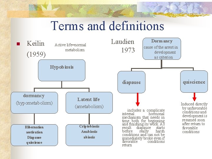 Terms and definitions n Keilin Active life=normal metabolism (1959) Laudien 1973 Dormancy cause of