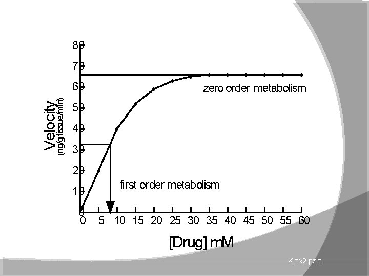 80 70 Velocity (ng/g tissue/min) 60 zero order metabolism 50 40 30 20 10