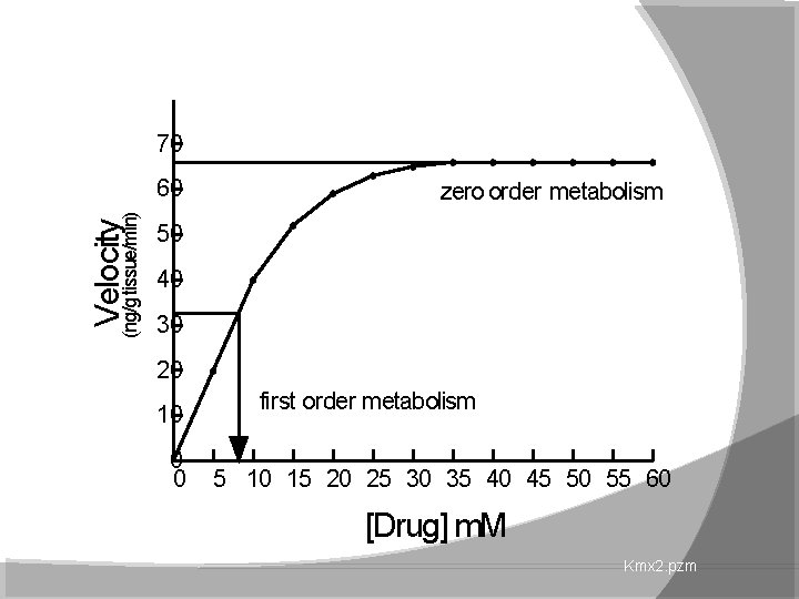 70 Velocity (ng/g tissue/min) 60 zero order metabolism 50 40 30 20 10 0