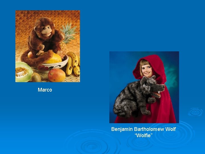 Marco Benjamin Bartholomew Wolf “Wolfie” 