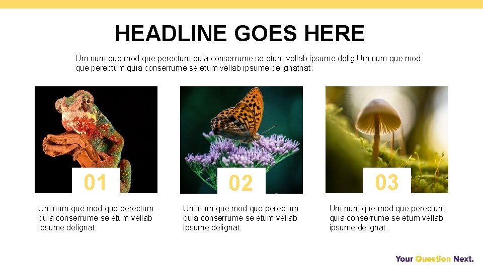 HEADLINE GOES HERE Um num que mod que perectum quia conserrume se etum vellab