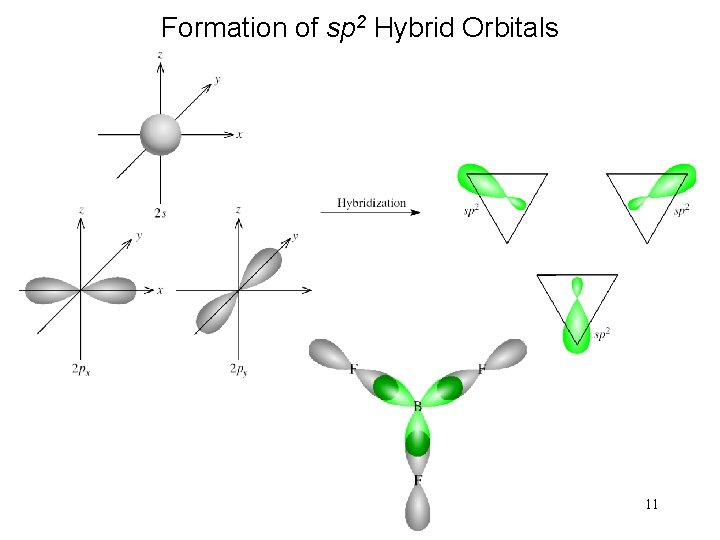 Formation of sp 2 Hybrid Orbitals 11 