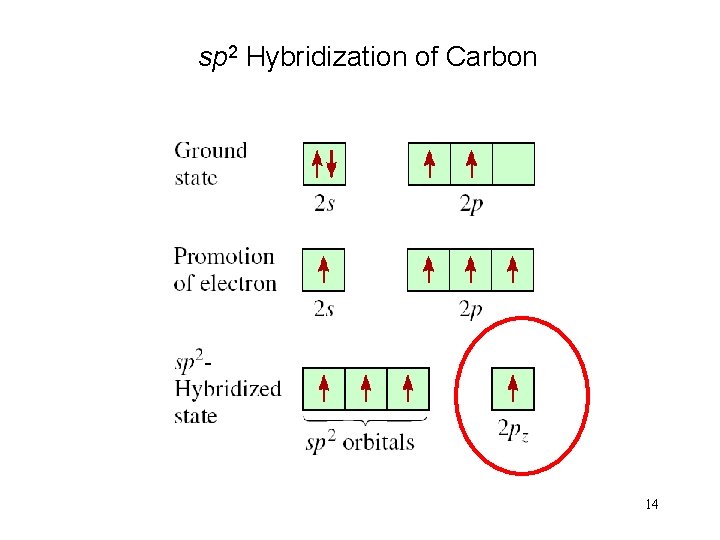 sp 2 Hybridization of Carbon 14 