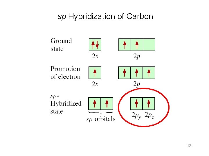 sp Hybridization of Carbon 18 