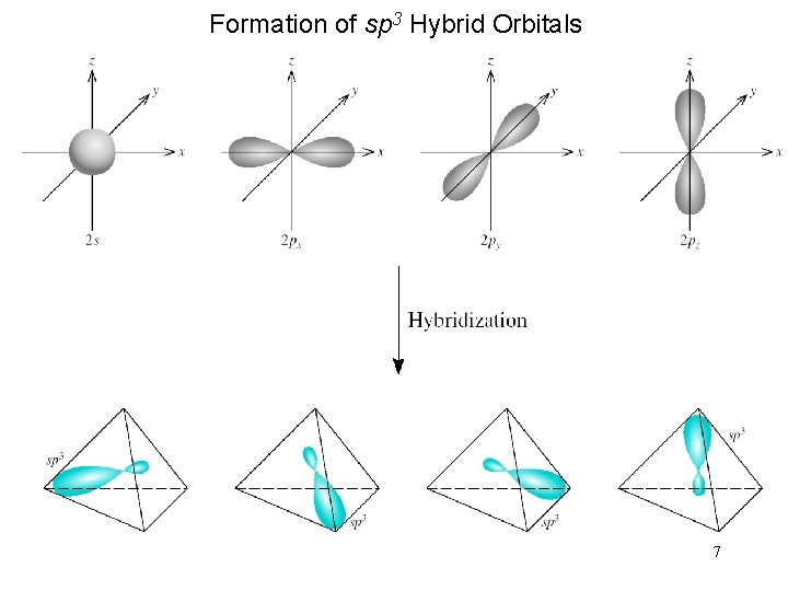 Formation of sp 3 Hybrid Orbitals 7 