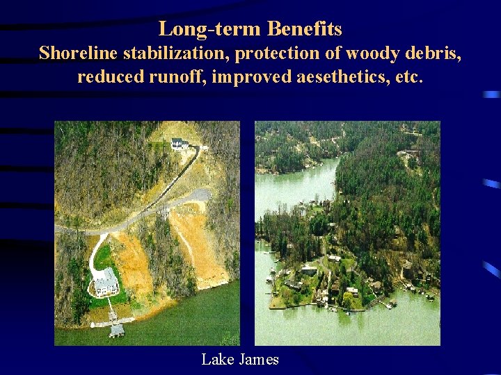Long-term Benefits Shoreline stabilization, protection of woody debris, reduced runoff, improved aesethetics, etc. Lake