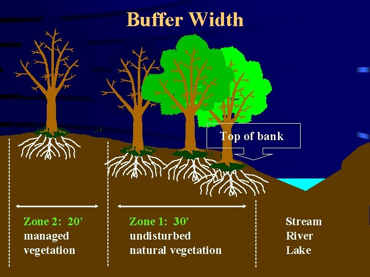 Buffer Width Top of bank Zone 2: 20’ managed vegetation Zone 1: 30’ undisturbed