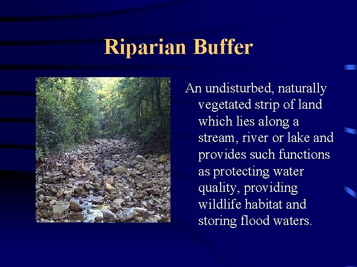 Riparian Buffer An undisturbed, naturally vegetated strip of land which lies along a stream,