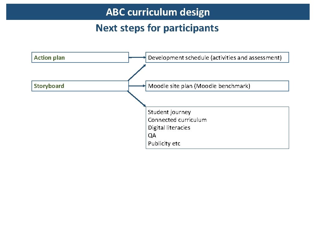 ABC curriculum design Next steps for participants Action plan Development schedule (activities and assessment)