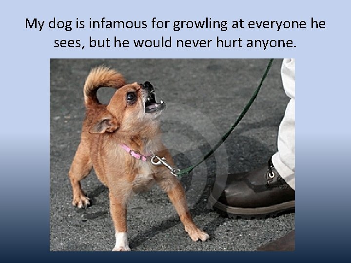 My dog is infamous for growling at everyone he sees, but he would never
