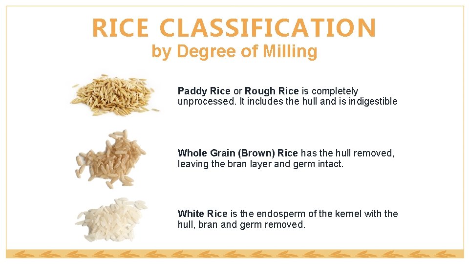 RICE CLASSIFICATION by Degree of Milling Paddy Rice or Rough Rice is completely unprocessed.