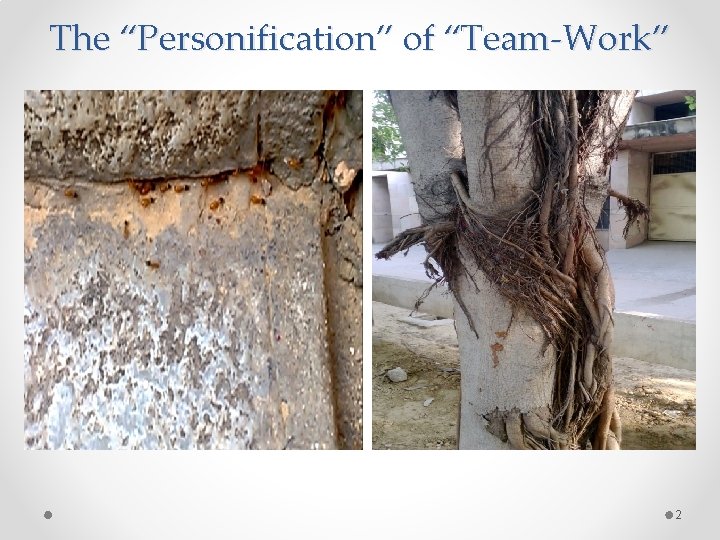 The “Personification” of “Team-Work” 2 