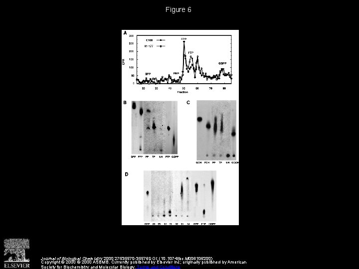 Figure 6 Journal of Biological Chemistry 2000 27535570 -35576 DOI: (10. 1074/jbc. M 006106200)