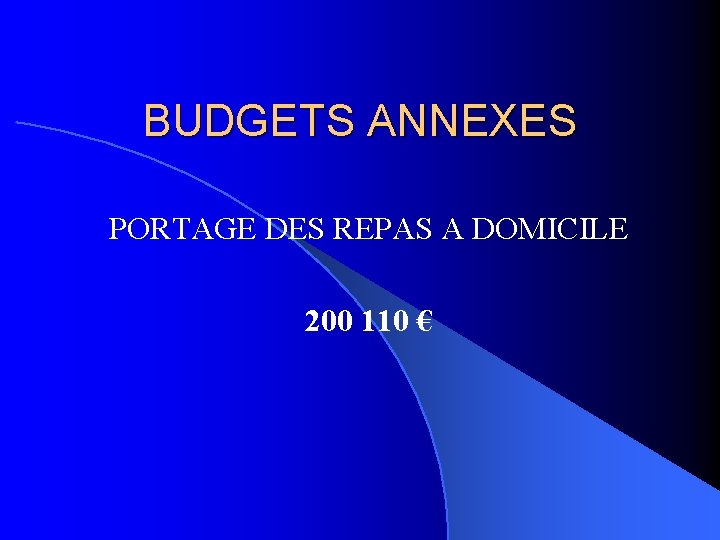 BUDGETS ANNEXES PORTAGE DES REPAS A DOMICILE 200 110 € 