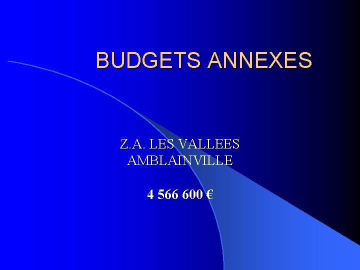 BUDGETS ANNEXES Z. A. LES VALLEES AMBLAINVILLE 4 566 600 € 