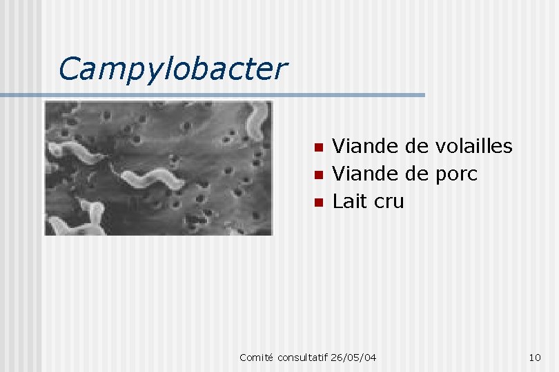 Campylobacter n n n Viande de volailles Viande de porc Lait cru Comité consultatif