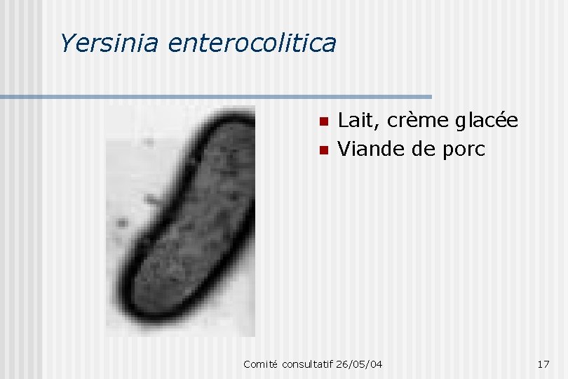 Yersinia enterocolitica n n Lait, crème glacée Viande de porc Comité consultatif 26/05/04 17