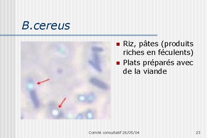 B. cereus n n Riz, pâtes (produits riches en féculents) Plats préparés avec de