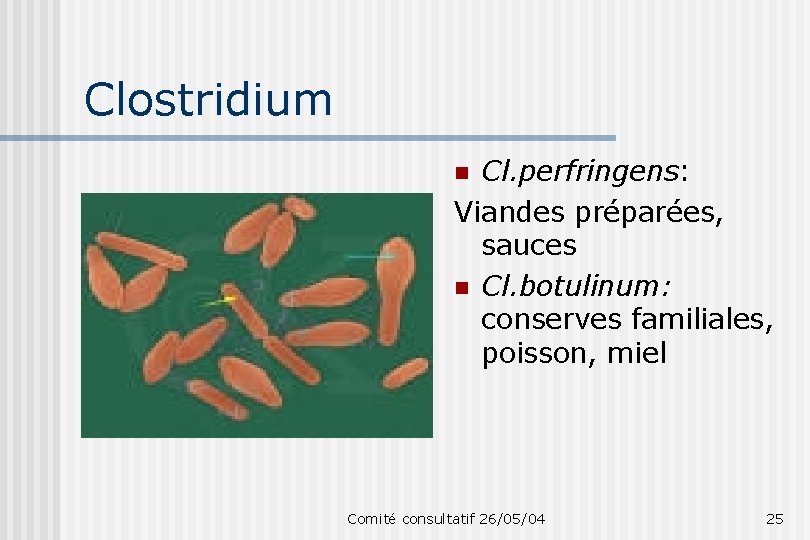 Clostridium Cl. perfringens: Viandes préparées, sauces n Cl. botulinum: conserves familiales, poisson, miel n