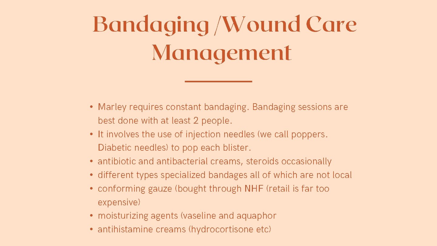 Bandaging /Wound Care Management • Marley requires constant bandaging. Bandaging sessions are best done