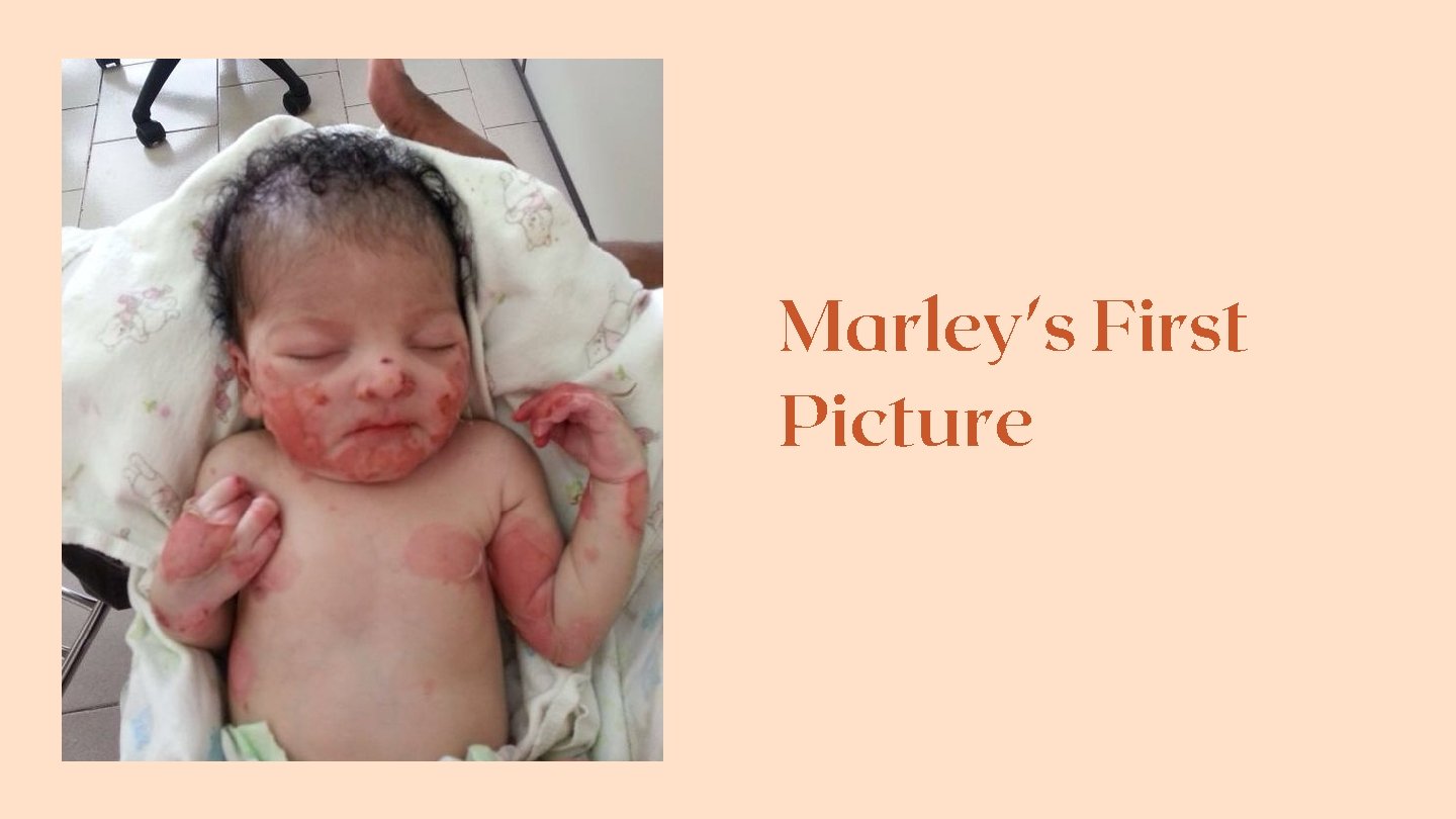 Marley's First Picture 