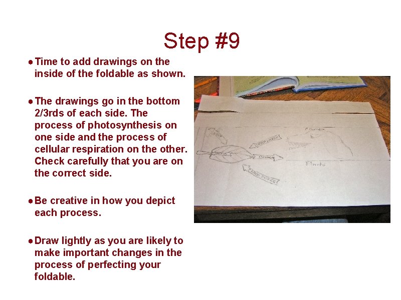 Step #9 ● Time to add drawings on the inside of the foldable as
