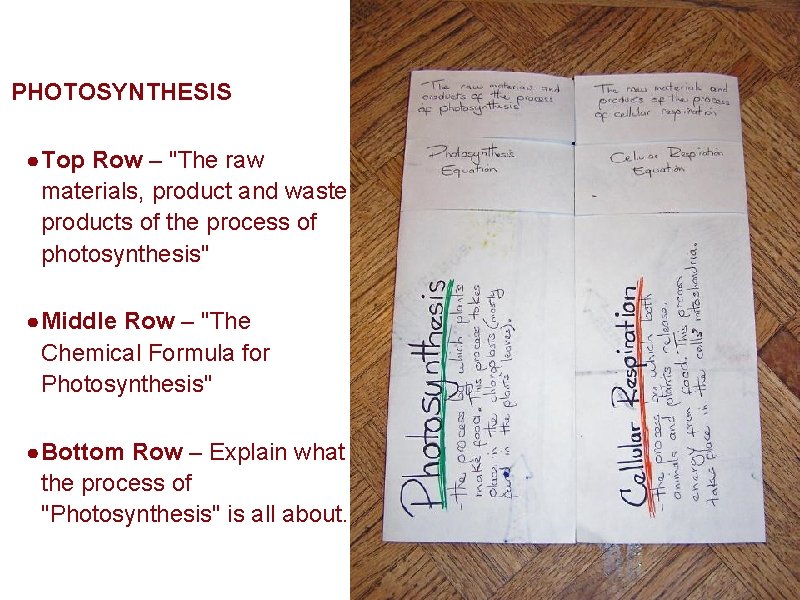 PHOTOSYNTHESIS ● Top Row – "The raw materials, product and waste products of the
