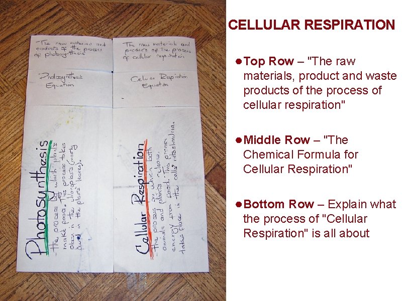 CELLULAR RESPIRATION ● Top Row – "The raw materials, product and waste products of