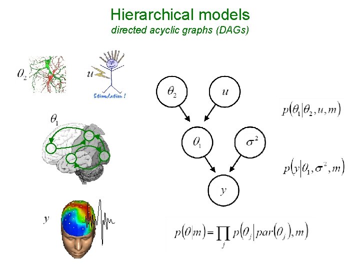 Hierarchical models directed acyclic graphs (DAGs) 