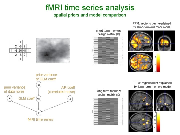 f. MRI time series analysis spatial priors and model comparison PPM: regions best explained